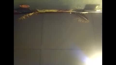 Warwick online show from 11.02.25