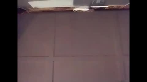 Warwick online show from 11.09.25