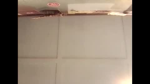 Warwick online show from 11.10.25