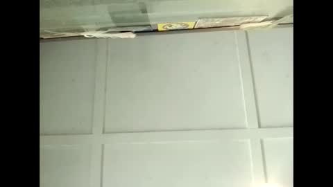 Warwick online show from 11.11.25