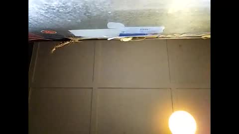 Warwick online show from 11.29.25