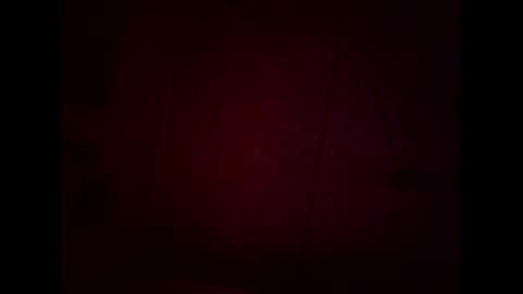 Warwick online show from 02.08.26