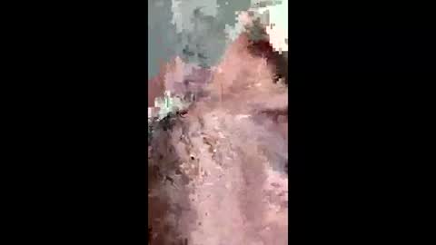 fukitol73 online show from 04.19.26