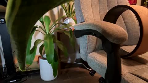 Snapshot of fuklicious chatting on 01.19.25 fuklicious online show from 01.19.25