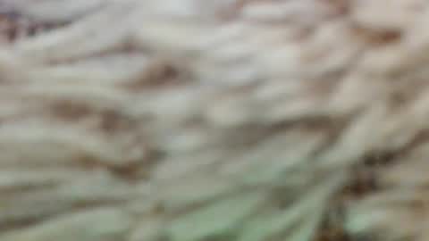 Snapshot of fullyfashionednylonlover chatting on 03.02.26 fullyfashionednylonlover online show from 03.02.26