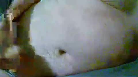 fultonstreet196860 online show from 04.10.26