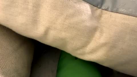 fun4him2018 online show from 01.12.26