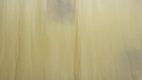 Fun4Tips online show from 02.15.25