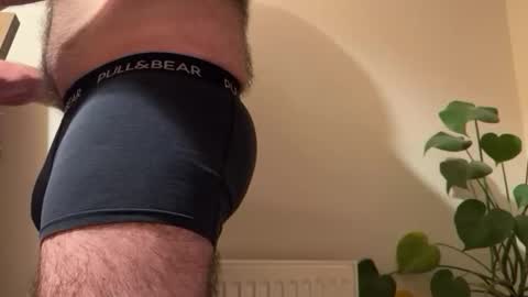 Snapshot of fungiphil chatting on 02.05.26 fungiphil online show from 02.05.26