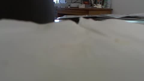 Snapshot of funone8848 chatting on 01.13.25 funone8848 online show from 01.13.25