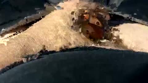 Snapshot of funtime741 chatting on 12.10.24 funtime741 online show from 12.10.24