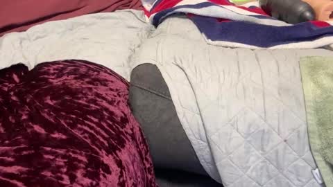 Snapshot of funwithtoyz chatting on 01.10.25 funwithtoyz online show from 01.10.25