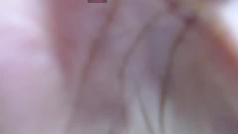 Snapshot of gabriela_morales01 chatting on 12.12.24 .  online show from 12.12.24