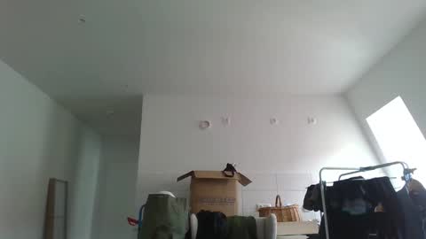 Garfield online show from 03.21.26