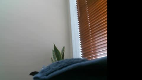 Lisa online show from 12.27.24