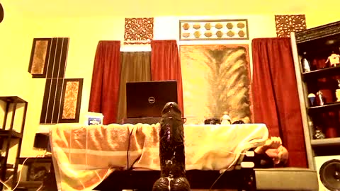 Snapshot of gatewaylaptop2019 chatting on 03.09.25 gatewaylaptop2019 online show from 03.09.25