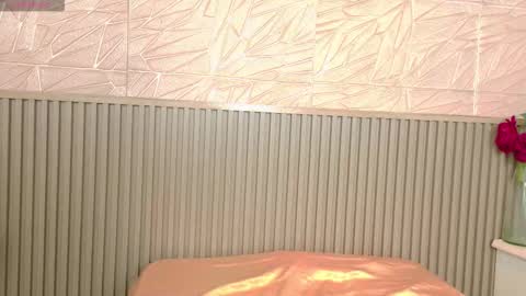 Snapshot of gaviluc_ chatting on 11.28.25 gaviluc_ online show from 11.28.25