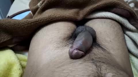 gbbdjr123 online show from 01.12.26