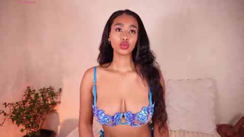    online show from 07.14.26
