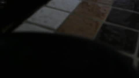 Snapshot of gene4 chatting on 12.31.24 gene online show from 12.31.24