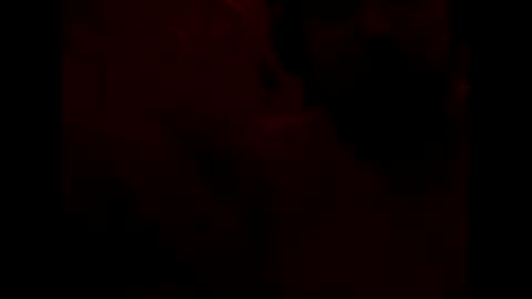 GeOOXXX online show from 04.09.26