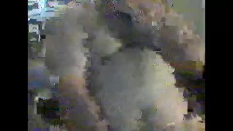 gerabo online show from 12.21.24