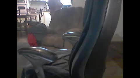 gerabo online show from 03.09.25