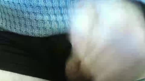 germandaddydick1 online show from 06.04.26