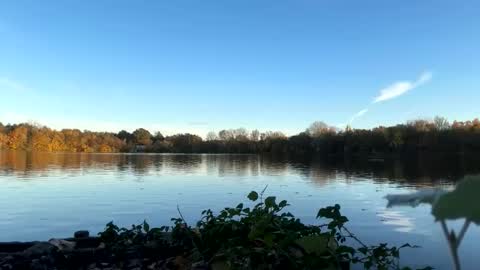 Snapshot of germanwankingman92 chatting on 11.05.25 Pink Dog online show from 11.05.25