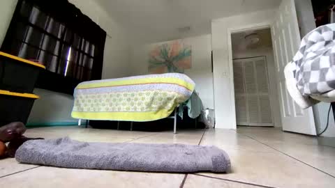 Getngetout88 online show from 03.19.26