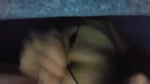 Snapshot of gezuz42069 chatting on 03.31.26 gezuz42069 online show from 03.31.26