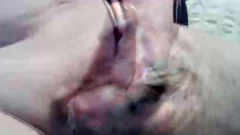 ghost1805 online show from 09.15.25