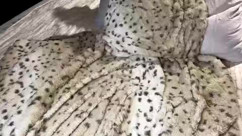 Snapshot of giaa4everr chatting on 11.07.25 Giaa4ever online show from 11.07.25