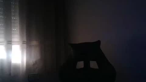 gioshadow online show from 05.26.26