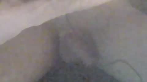 Snapshot of girlscallme666 chatting on 01.12.26 lovegirlscallme online show from 01.12.26