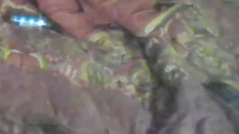 Snapshot of girlscallme666 chatting on 01.17.26 lovegirlscallme online show from 01.17.26