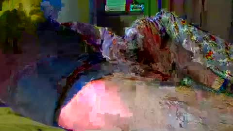 Snapshot of glls chatting on 12.18.24 guybuzz online show from 12.18.24