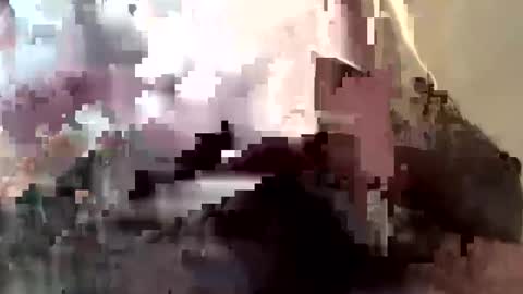 gmenocal21 online show from 02.27.25