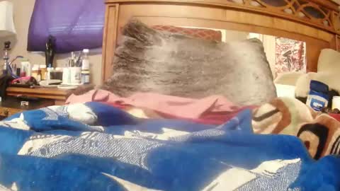 Snapshot of goodbootaye chatting on 02.23.25 Juicy Booty online show from 02.23.25