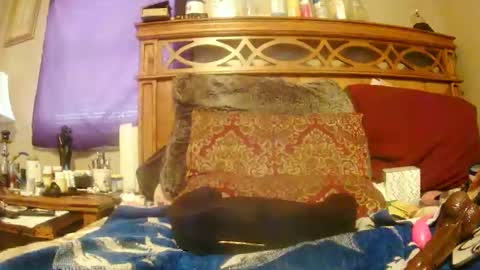 Snapshot of goodbootaye chatting on 02.27.25 Juicy Booty online show from 02.27.25