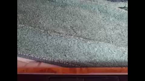 Snapshot of goodboyzon chatting on 12.08.24 goodboy online show from 12.08.24