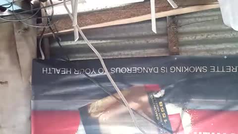 Snapshot of gorgeouspinay_babe chatting on 11.22.25 GorgeousPinay babe online show from 11.22.25