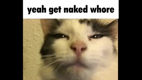 Amy online show from 03.03.25