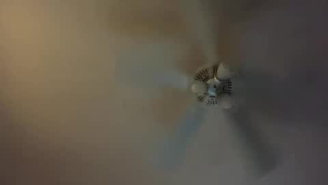 grd137 online show from 03.08.25