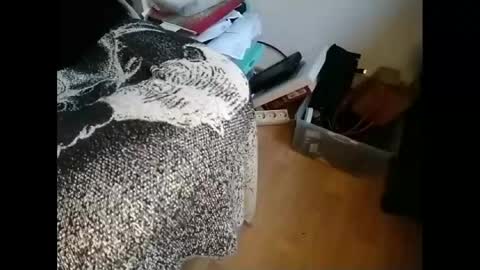 Snapshot of gregorius_1 chatting on 01.21.25 Greg online show from 01.21.25