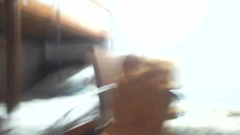 Snapshot of gregory_x chatting on 01.03.25 Gregory max online show from 01.03.25