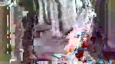 greyhounddog online show from 04.04.26