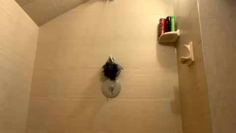 Snapshot of greyvan96 chatting on 12.31.24 Perfectlyaveragesavage online show from 12.31.24