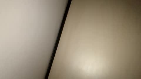 Snapshot of greyvan96 chatting on 02.17.25 Perfectlyaveragesavage online show from 02.17.25