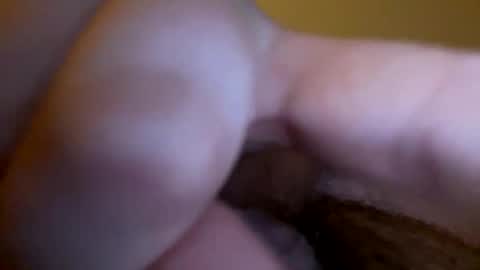 groblol26 online show from 01.15.26